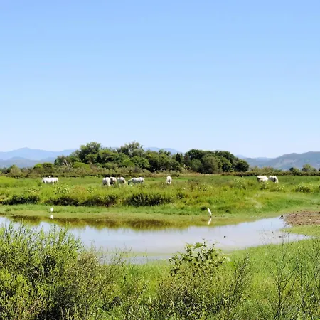 Locazione Turistica Camping Village